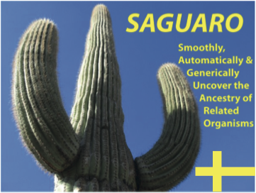 Saguaro logo